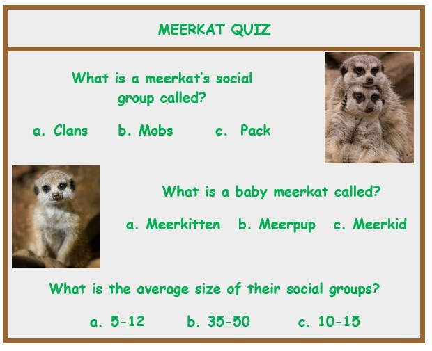 Read more about the article Faith –THRIVE!