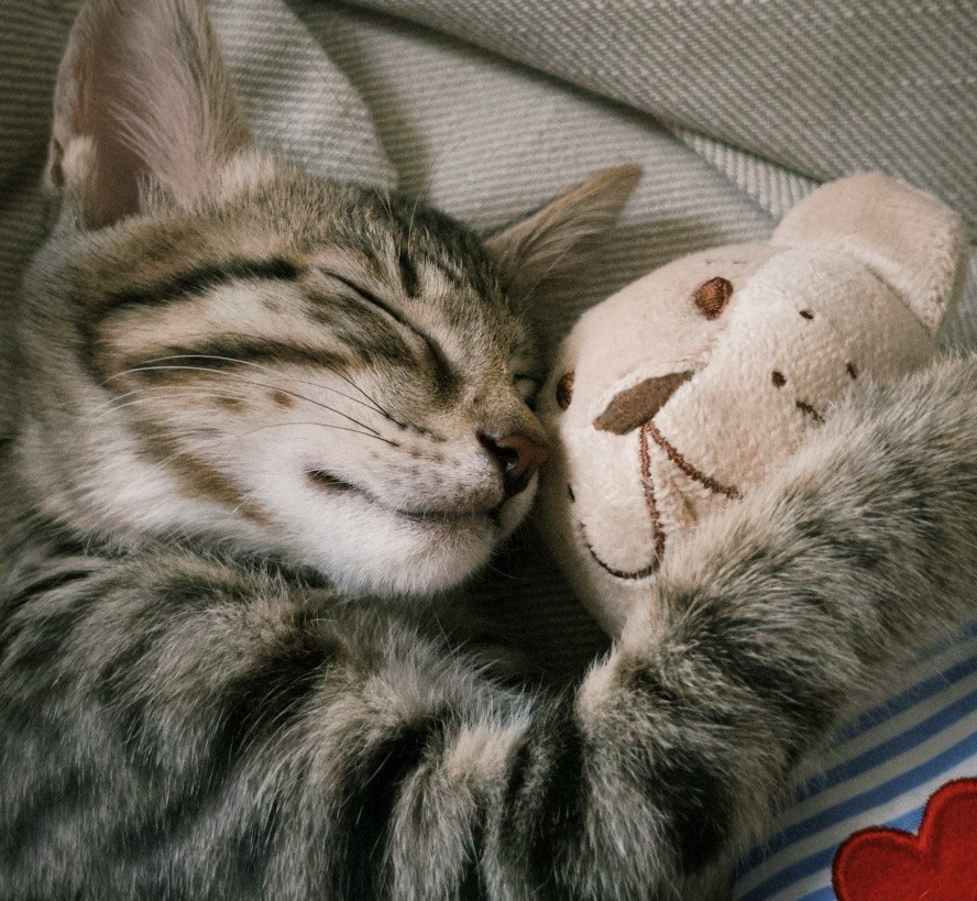 Read more about the article Faith for HOPE: LOST & FOUND!